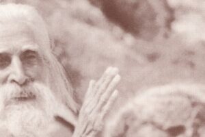 פטר דנוב והאחווה הלבנה