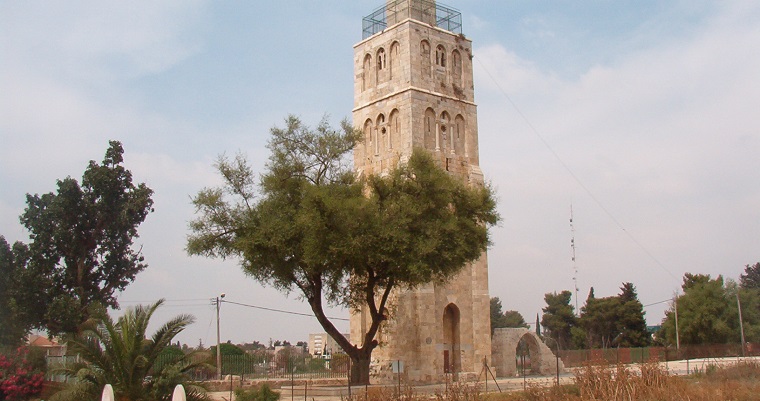 המגדל הלבן ועץ ברמלה