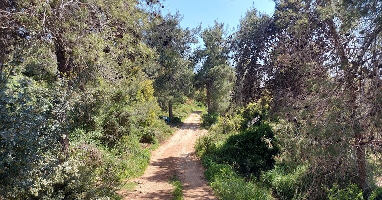 בעלייה למבשרת ציון ירושלים