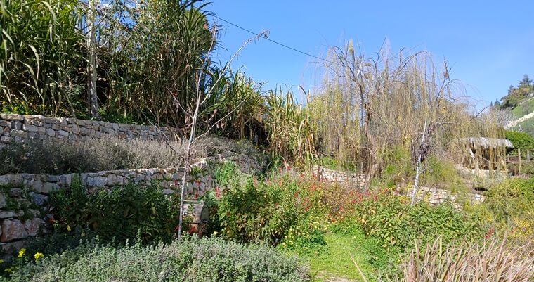 גן גיא בן הנום ירושלים