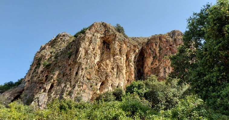 וגינה במערות הכרמל