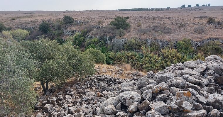 ממרום הסוללה מתחם יצחקי גולן