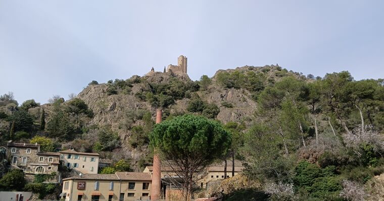 מצודה קתרית לסטורס צרפת