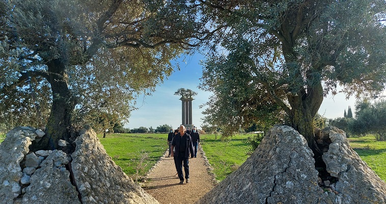 פסל זיתים רן מורין רמת רחל